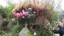 IMG-20170317-WA0008
