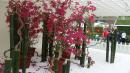 IMG-20170317-WA0009