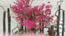 IMG-20170317-WA0013