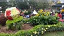 IMG-20170317-WA0021