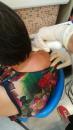 IMG-20190621-WA0003