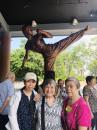 IMG-20191010-WA0015