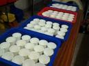 20130220_144451[1]